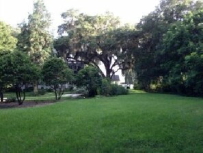 Image from porch to river-access to the river down the right side of image