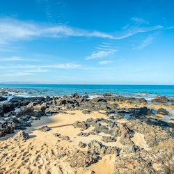 Explore the tidal pools.