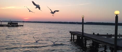 seagulls at sunset beside our pier at the Little Lagoon...