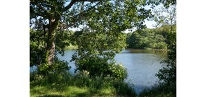 Pond is directly across the street. Part of nature preserve. Great fishing spot.