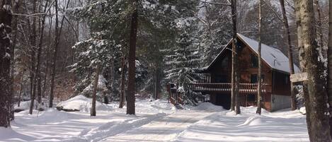 Peaceful & Quiet Winter Retreat. Enjoy a warm fire and view the iced over lake.