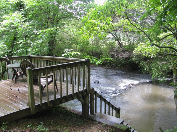 Right on the Ellijay River!