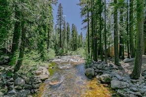 South Fork of the American River- just steps from the cabin