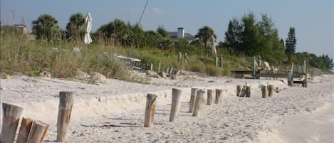 Beach view looking south