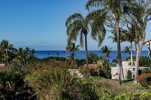 View from the lanai