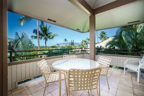 View from the lanai