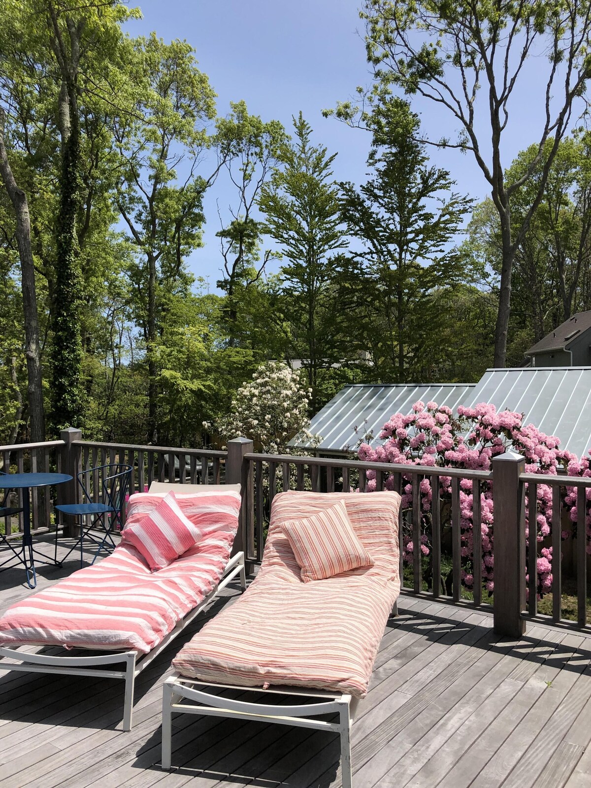 BOOKING FOR MAY-SEPT 2024  The actual Hamptons home of Eloise from the Plaza