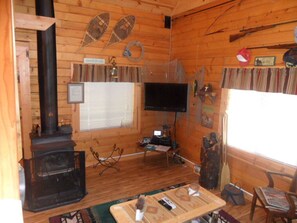 wood stove