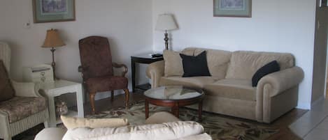 cozy comfortable living rooma great place for family gathering & movie watching 