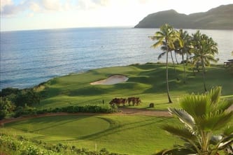 Pukalani a Marriott Grand Residence