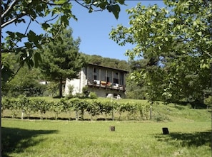Jardin