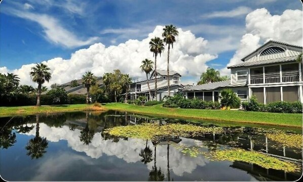 View from the Lanai