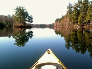 Looking South on Coffee Pond - Kayak or canoe to the small island (to the left)