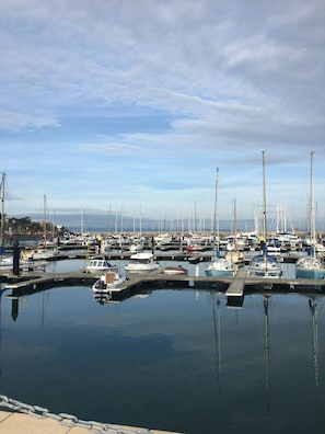 Bangor Marina in the Summer months