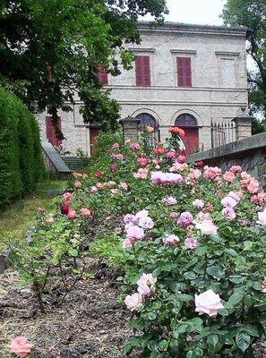 The rose garden