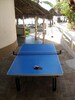Table Tennis while keeping an eye on the surf