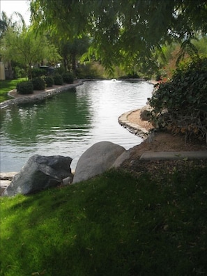 The water feature on the back side of the home.