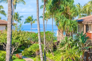 Partial Ocean Views - This Is Your View From C201 Castaway Cove