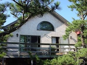 South Deck