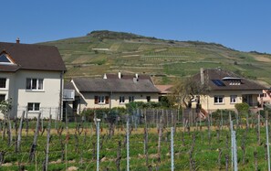 VUE SUR LE DOMAINE AVEC LE GITE AU CENTRE