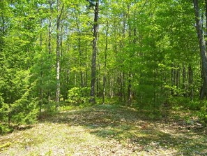 view of backyard