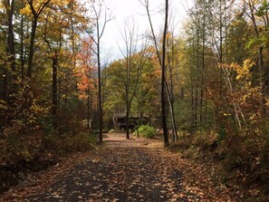 cabin is set down a long private driveway, surrounded by woods