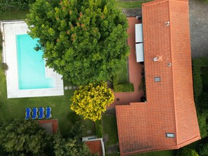 Swimming pool and garden