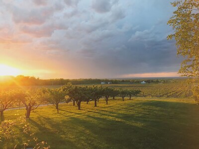 Vineyard Estate House In Niagara