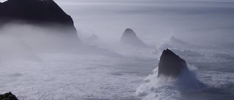 Cove in fog from upper deck