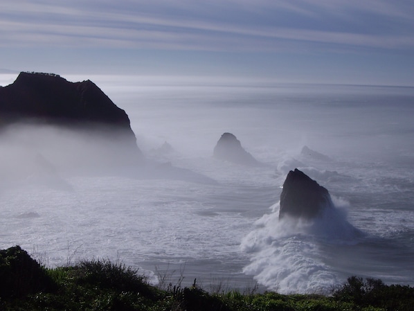 Cove in fog from upper deck