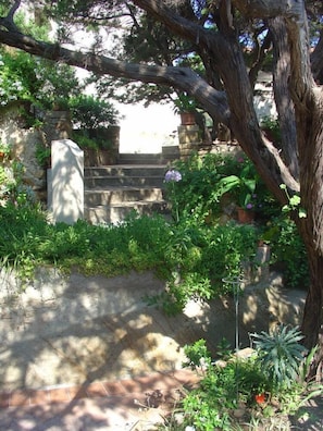 Jardin, Parc