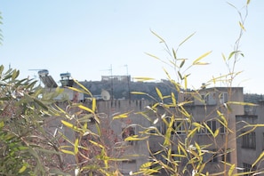 View of the Parthenon from the roof top terrace