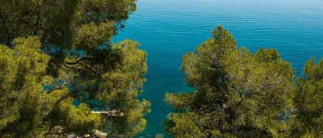 vista mare dall'appartamento 