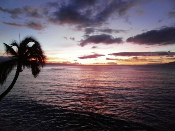 One of many breathtaking sunsets you'll see from our condo!