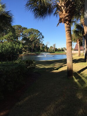 View from patio