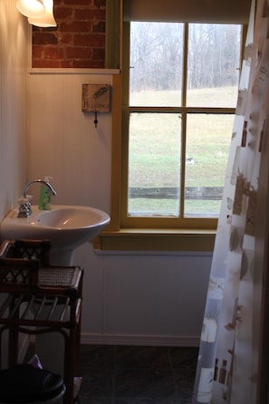 separate bathroom includes shower, toilet and view of horse pasture