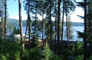 View from the home