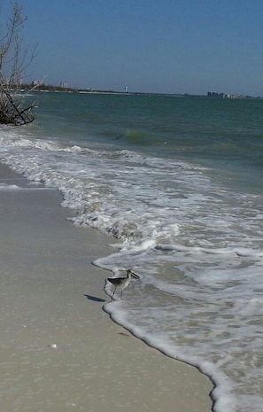 White sand beaches, warm water!
