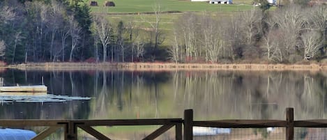 View from lawn. Dock at left, fire pit at right, float left-center