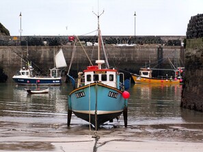 Fiske