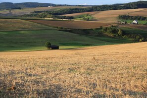 Ernsthausen ist umgeben von Feldern und Wäldern