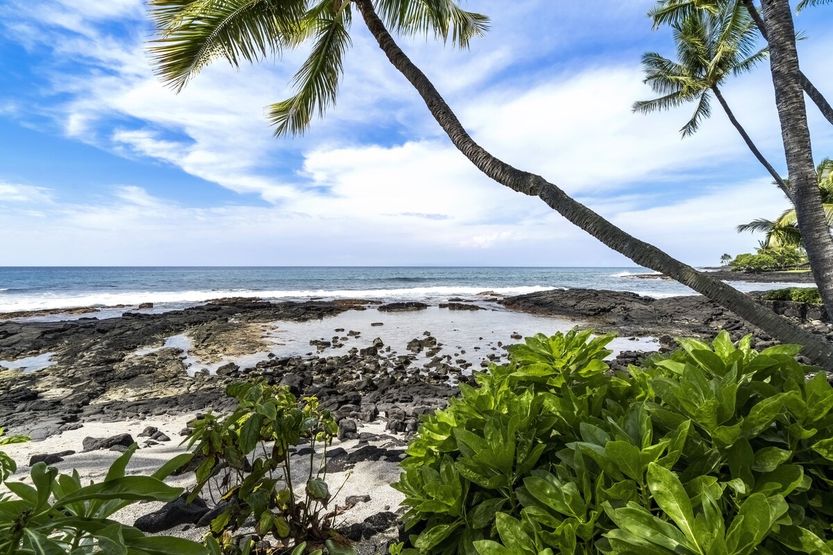 Beautiful Oceanfront Kona Bali Kai Unit #203 Two Bedroom Condo now with A/C!!