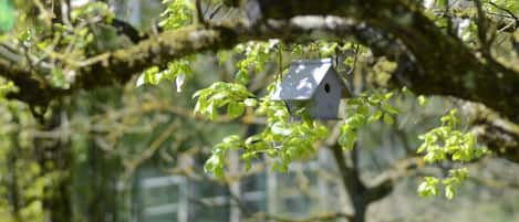 Jardines del alojamiento