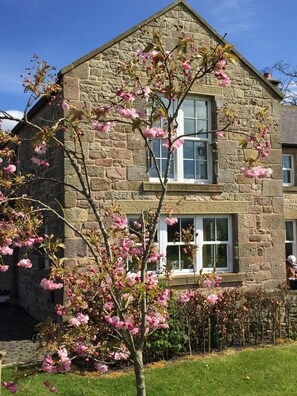 Upstairs living room window - view over Cheviot