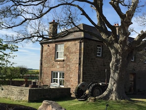 Annexe terrace and barbeque area