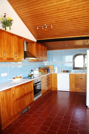 The well-equipped modern kitchen