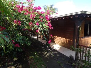 Arrière de la maison noyée sous les bougainvilliers