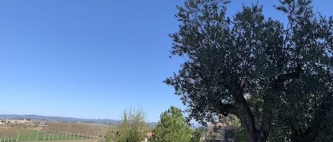 Vue de l’appartement 