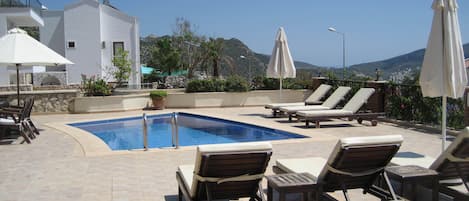 Patio and pool