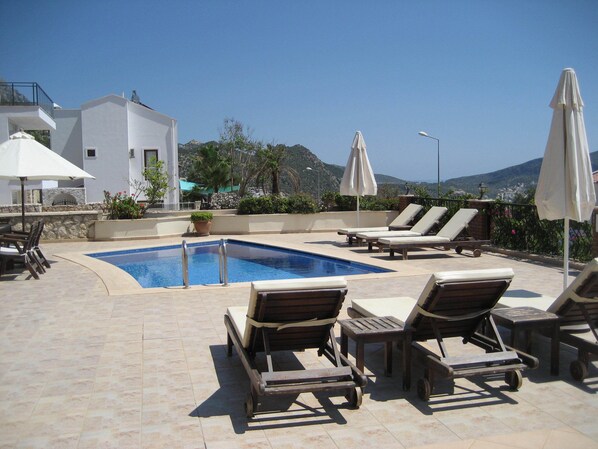 Patio and pool